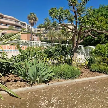 Vue Mer Sur Les Hauteurs De